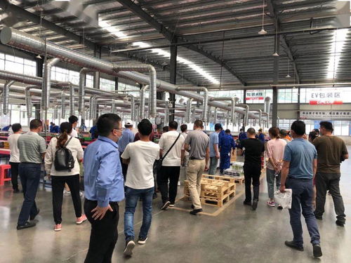 高品质征服市场 安徽合肥50位客户代表考察理士安徽工厂