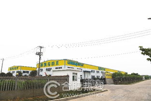 家装防水猫腻多 合肥论坛实探,为您揭秘防水涂料的制作过程