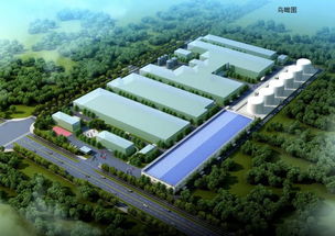 投资2亿 安徽禹王生产基地扩建项目破土动工